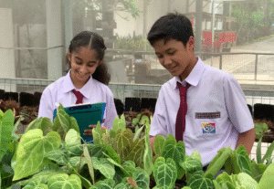Students of Sekolah Victory Plus, an International Baccalaureate School in Bekasi, observing plants.