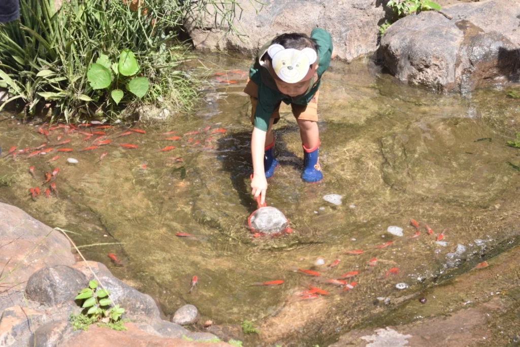 A student excitedly catching fish at an outdoor space at Sekolah Victory Plus.