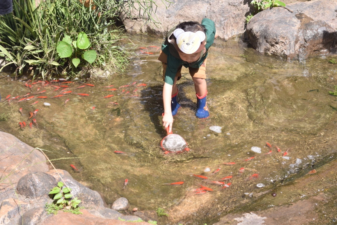 A student excitedly catching fish at an outdoor space at Sekolah Victory Plus.