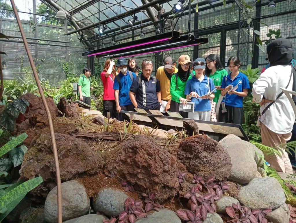 Sekolah Victory Plus students are observing plants during their visit to Prepari Bogor for Learning Beyond the Walls.